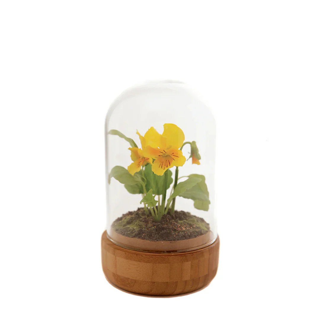 Miniature 1