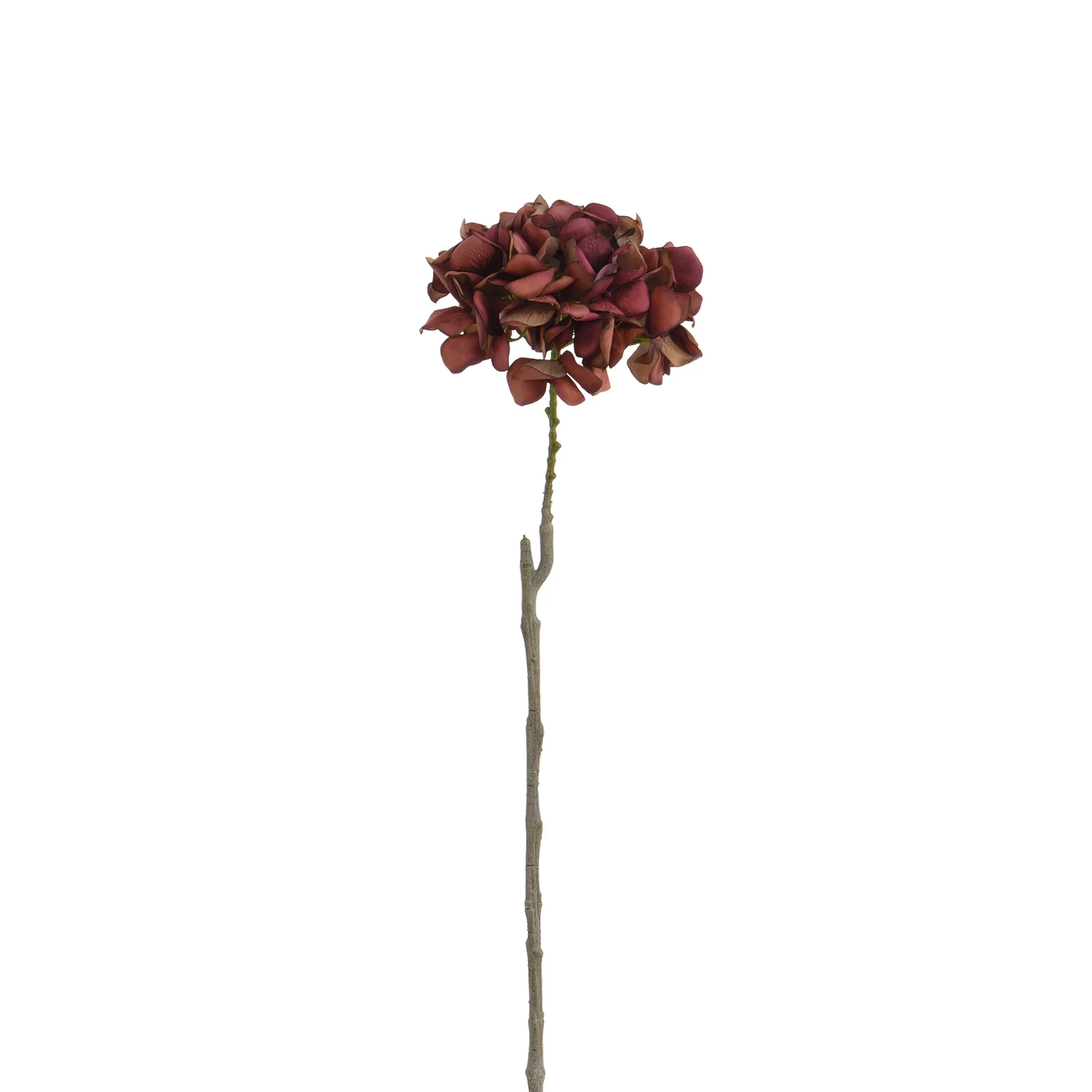 Image du produit 24