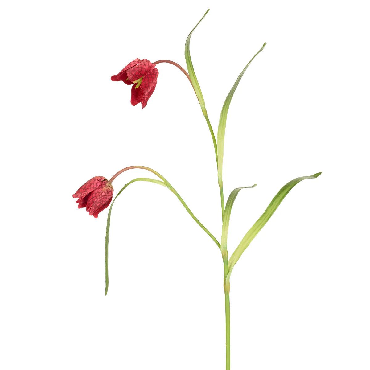 Miniature 1