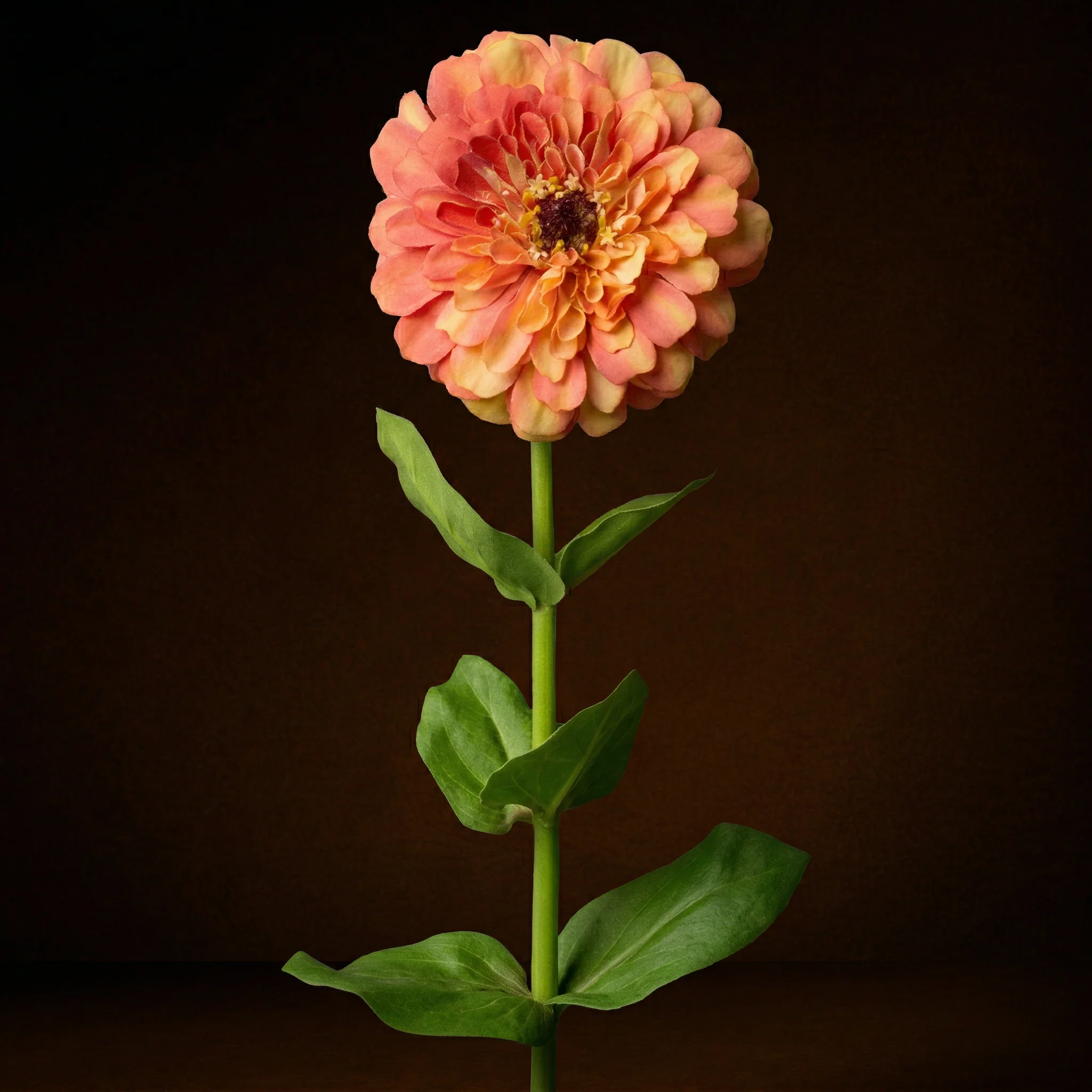 Miniature 2
